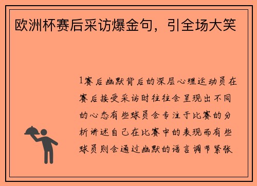 欧洲杯赛后采访爆金句，引全场大笑